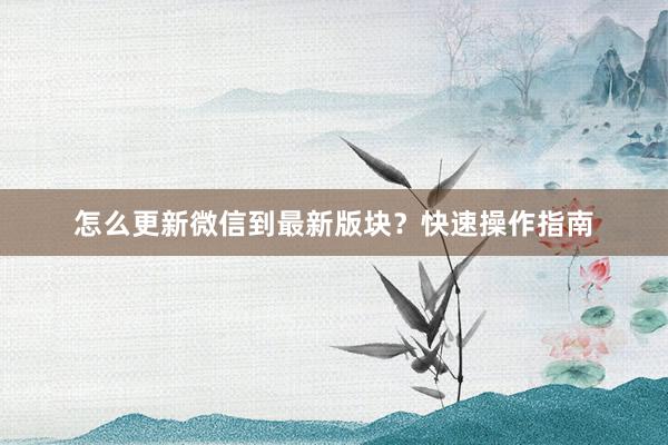 怎么更新微信到最新版块？快速操作指南