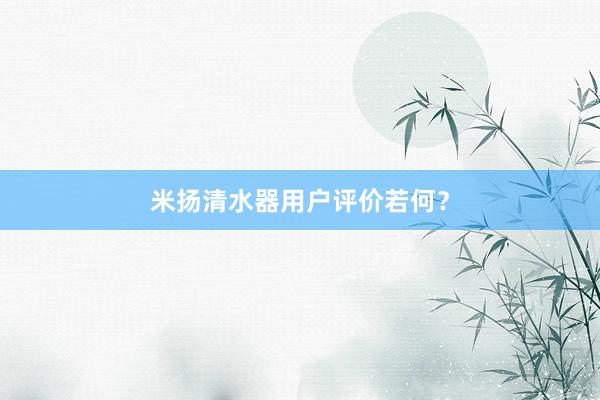   米扬清水器用户评价若何？